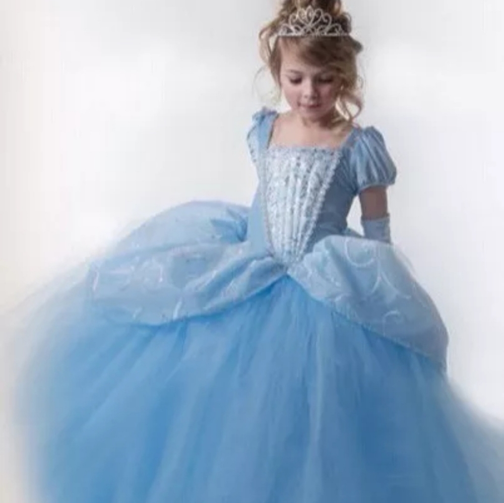 Cinderella Dress 👗 Princess Blue Gown NEW
